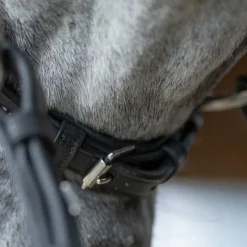 Outlet Jump'In - Bridon muserolle allemande Evolution Noir