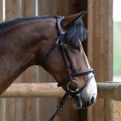 Jump'In - Bridon muserolle combinée Evolution havane Marron Discount