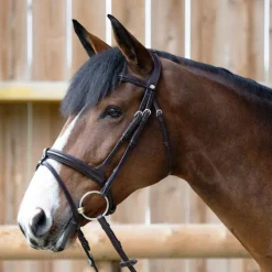 Jump'In - Bridon muserolle combinée Evolution havane Marron Discount