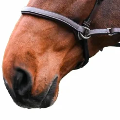 New Jump'In - Bridon One bitless Noisette