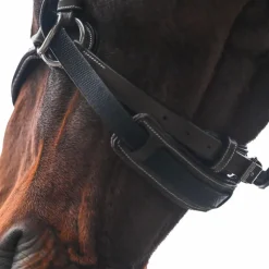 New Jump'In - Bridon One bitless Noisette