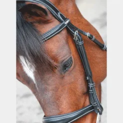 Jump'In - Bridon One Bruxelles avec rênes Noir Discount