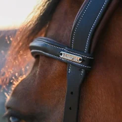 Jump'In - Bridon One liberty / acajou Noir Online