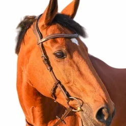 Jump'In - Bridon One liberty / noir Noisette Clearance