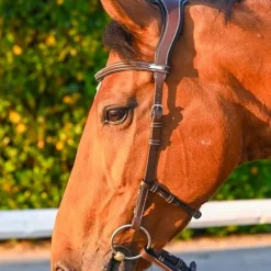 Jump'In - Bridon One liberty / noir Noisette Clearance