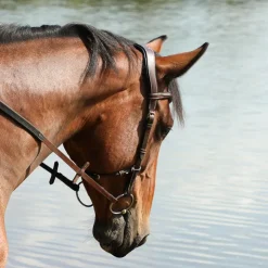 Jump'In - Bridon One liberty / noir Noisette Clearance