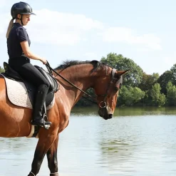 Jump'In - Bridon One liberty / noir Noisette Clearance