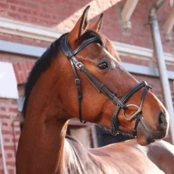 Jump'In - Bridon One London avec rênes Noir Sale