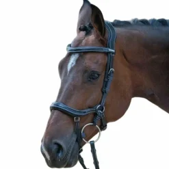 Jump'In - Bridon One Manhattan noir avec rênes