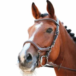 Jump'In - Bridon One New York avec rênes Noisette Clearance