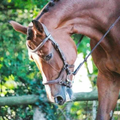 Jump'In - Bridon One New York avec rênes Noisette Clearance