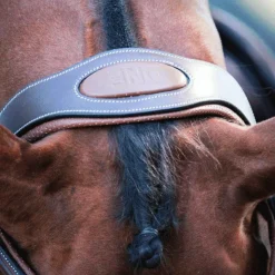 Jump'In - Bridon One New York avec rênes Noisette Clearance