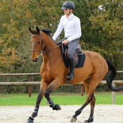 Hot Jump'In - Bridon One Paris avec rênes Noisette