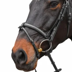 Discount Jump'In - Bridon One Premium Clincher Noisette