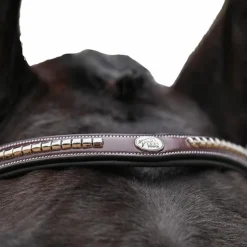 Online Jump'In - Bridon One Premium Clincher Havane