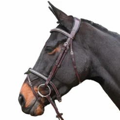 Online Jump'In - Bridon One Premium Clincher Havane