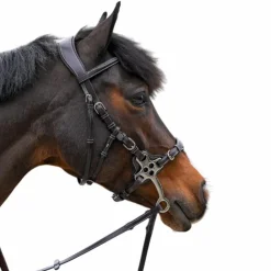 Outlet Jump'In - Bridon One Premium Hackamore Havane
