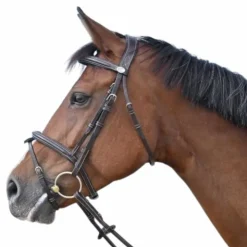 Jump'In - Bridon Tuesday collection Week Havane Clearance