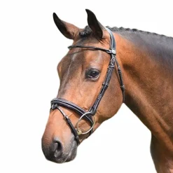 Jump'In - Bridon Wednesday muserolle combinée Noir Outlet