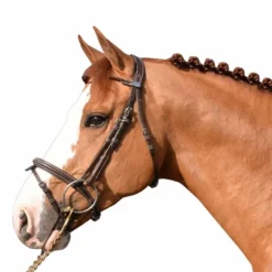 Discount Jump'In - Bridon Week Monday avec rênes