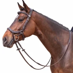 Hot Jump'In - Bridon Week Summer havane