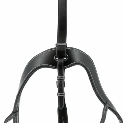 Jump'In - Collier de chasse 5 points + martingale One Noir Best