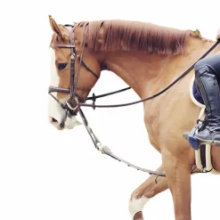 Jump'In - Enrênement Patrick Outlet