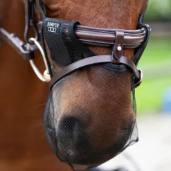 Jump'In - Filet de nez anti-mouches Collection Week Noir New