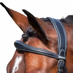 Jump'In - Frontal Bruxelles collection One Noir New