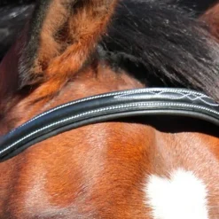 Jump'In - Frontal Paris collection One Noir Hot