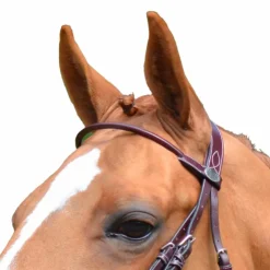 Hot Jump'In - Frontal rond Monday acajou Marron