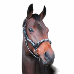 Jump'In - Licol cheval One Travel Noir Hot