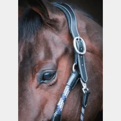 Jump'In - Licol cheval One Travel Noir Hot