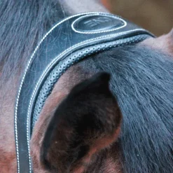 Jump'In - Licol cheval One Travel Noir Hot