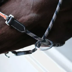 Jump'In - Licol cheval One Travel Noir Hot