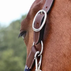 Jump'In - Licol cheval One Travel noisette Marron Outlet