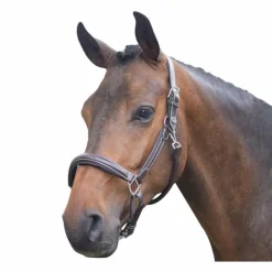 New Jump'In - Licol cheval Wednesday havane Marron