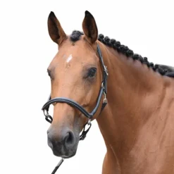 Jump'In - Licol de pansage One Noir Outlet