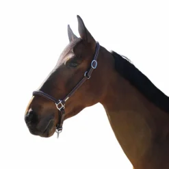 Jump'In - Licol de pansage One Noir Outlet