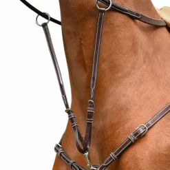 Jump'In - Martingale de collier monday et tuesday havane Marron New