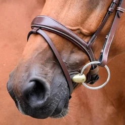 Clearance Jump'In - Muserolle Bruxelles collection One noisette Marron