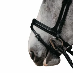 Online Jump'In - Muserolle combinée Evolution Noir