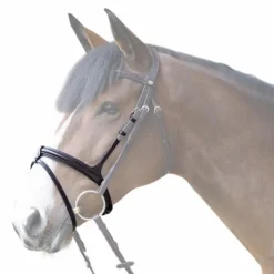 New Jump'In - Muserolle combinée Evolution havane Marron