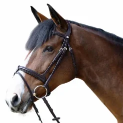 New Jump'In - Muserolle combinée Evolution havane Marron