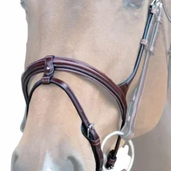 New Jump'In - Muserolle combinée Evolution noisette Marron