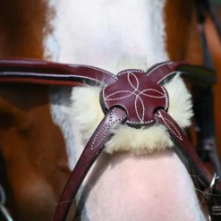 Jump'In - Muserolle croisée Tuesday acajou Marron New