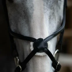 Clearance Jump'In - Muserolle croisée Evolution Noir