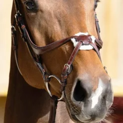 Jump'In - Muserolle croisée Evolution noisette Marron