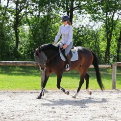 Jump'In - Pantalon d'équitation femme Super X Gris Outlet