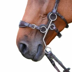 Jump'In - Protection pour hackamore en cuir havane Marron Best